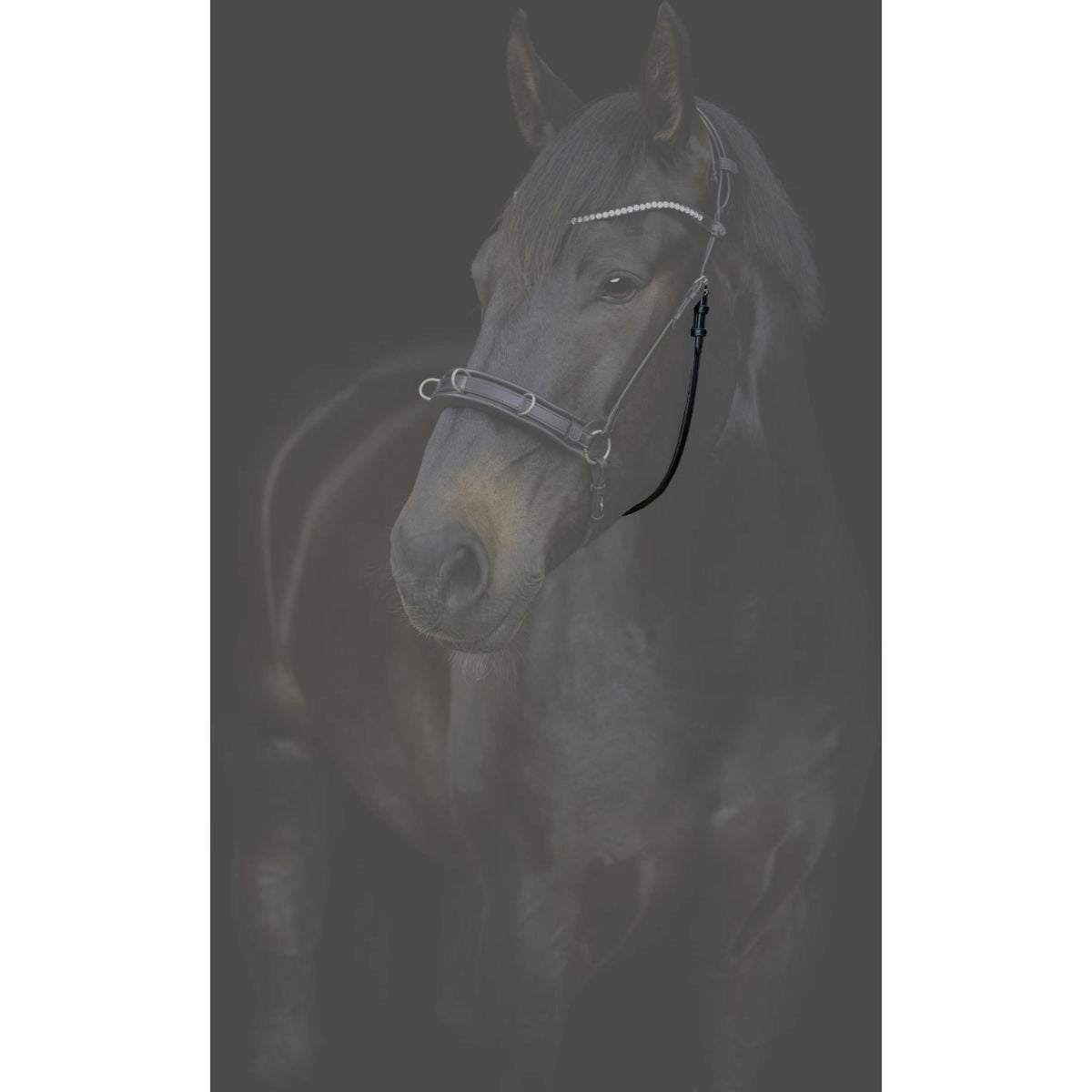 Catago Kehlriemen Gentle mit Schnallen Schwarz