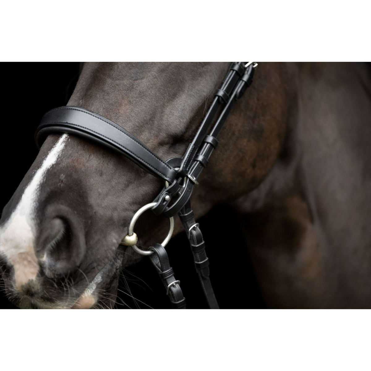 Catago Connecting Rings Gentle Braun