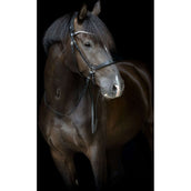 Catago Stirnriemen Gentle Schwarz