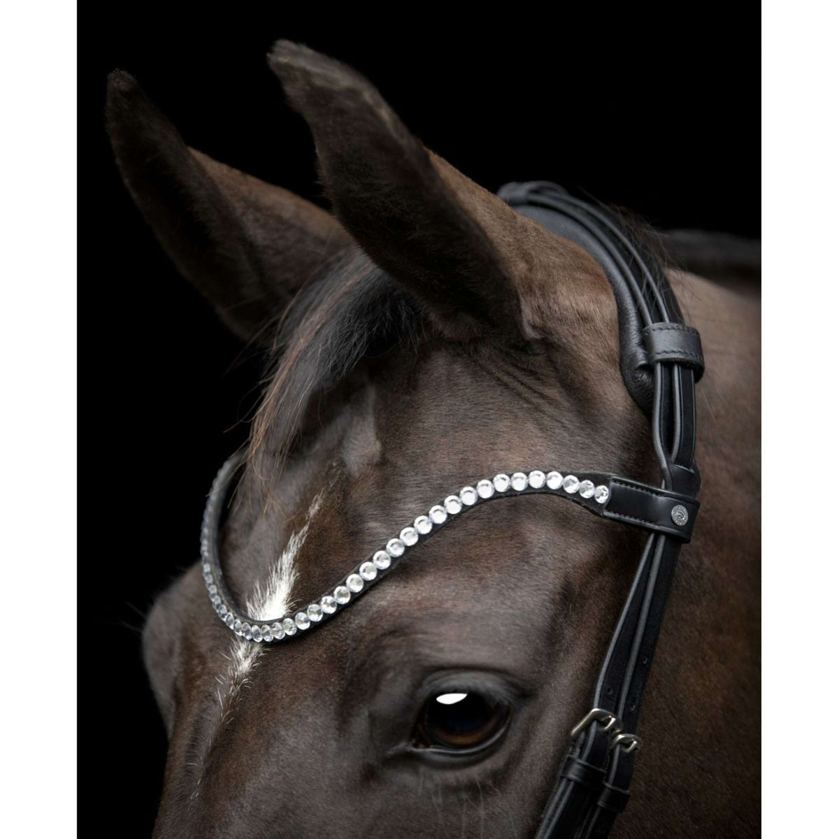 Catago Stirnriemen Gentle Schwarz