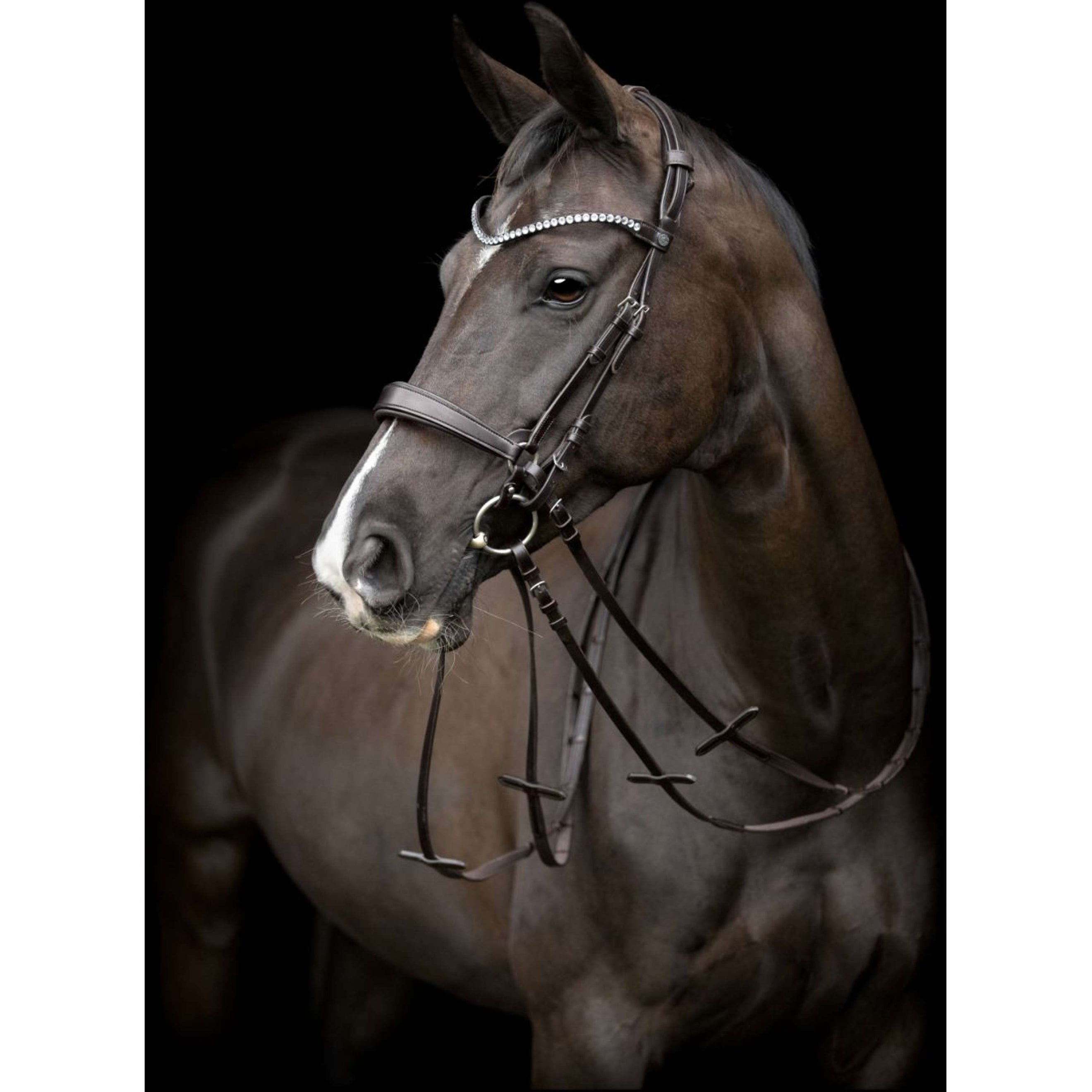 Catago Kopfstück Gentle Braun Catago Kopfstück Gentle Braun