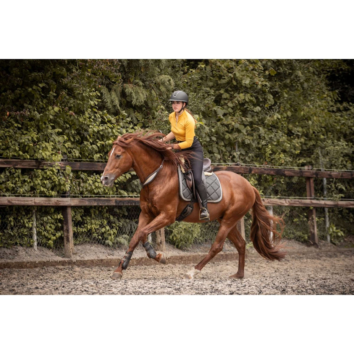 F.R.A. Gleichgewichtszügel Whisper Braun