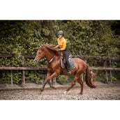 F.R.A. Gleichgewichtszügel Whisper Braun