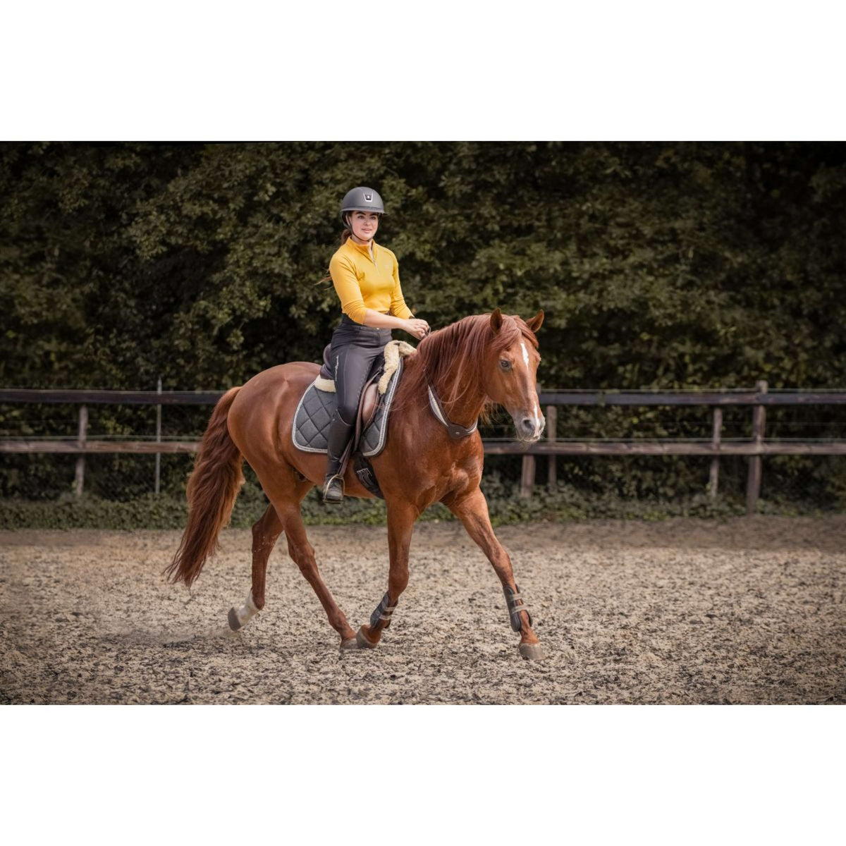 F.R.A. Gleichgewichtszügel Whisper Braun