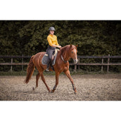 F.R.A. Gleichgewichtszügel Whisper Braun