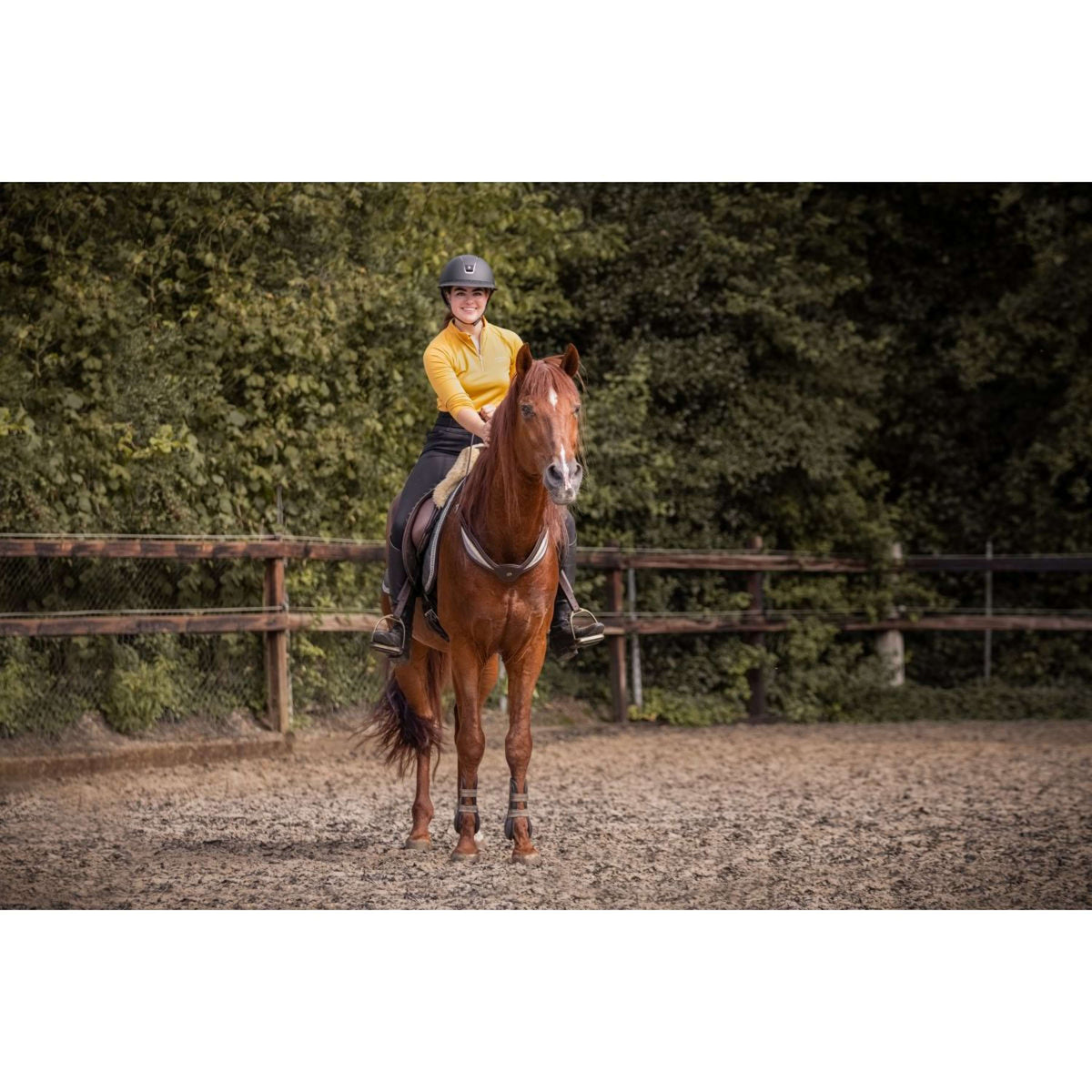 F.R.A. Gleichgewichtszügel Whisper Braun