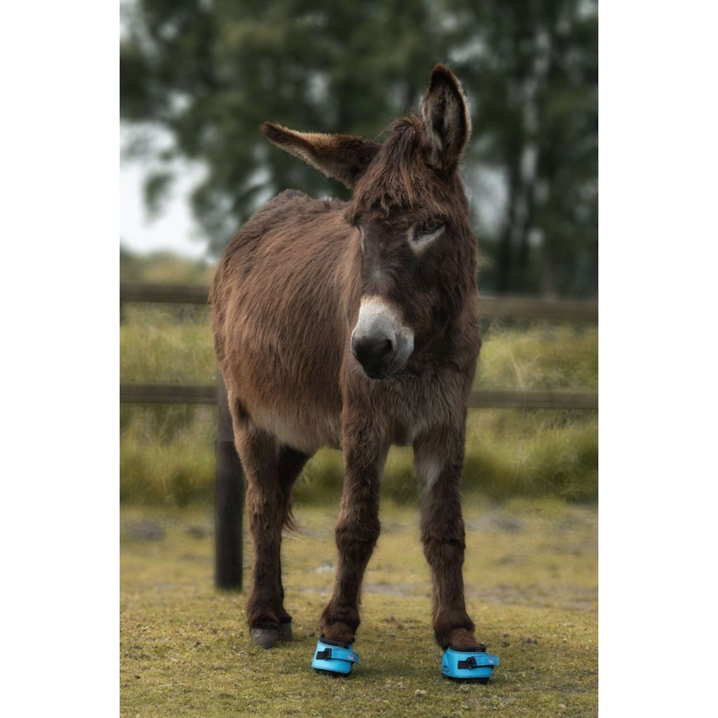 F.R.A. Cavallo Donkey/Long Ear Boot Türkis