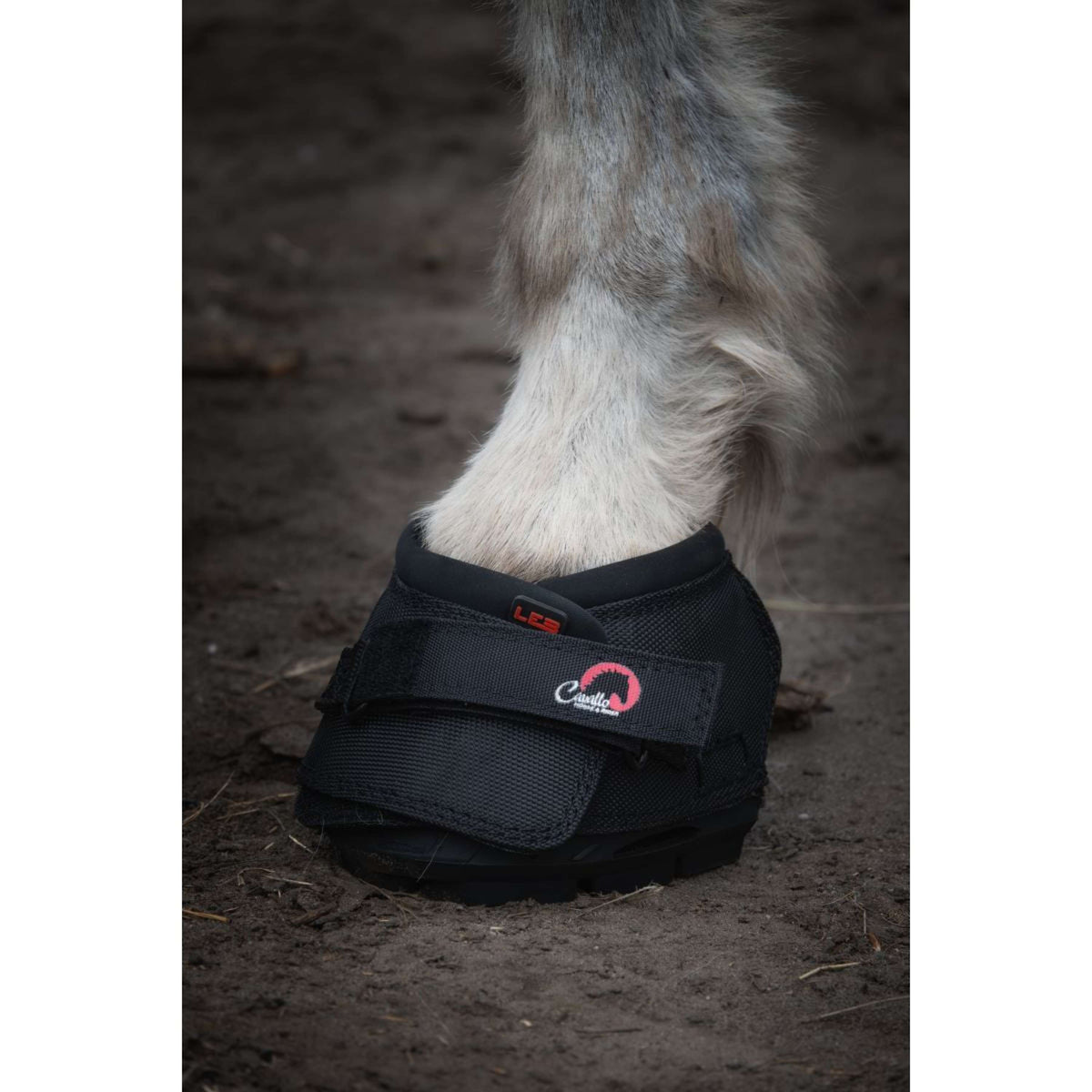 F.R.A. Cavallo Horse & Rider Hufschuh Ezel/LED Schwarz