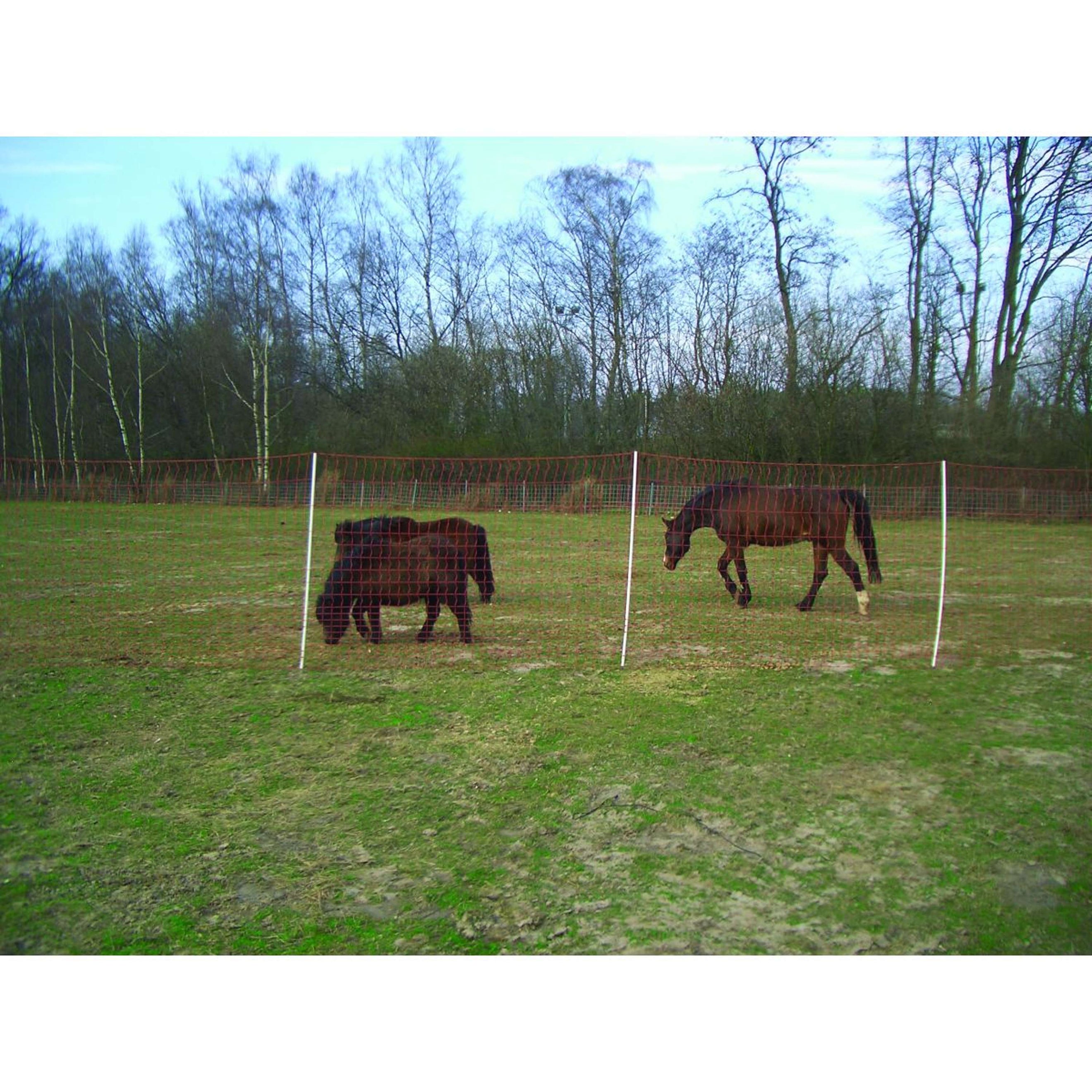 Euro-Netz Elektrozaunnetz Mustang Feine Masche