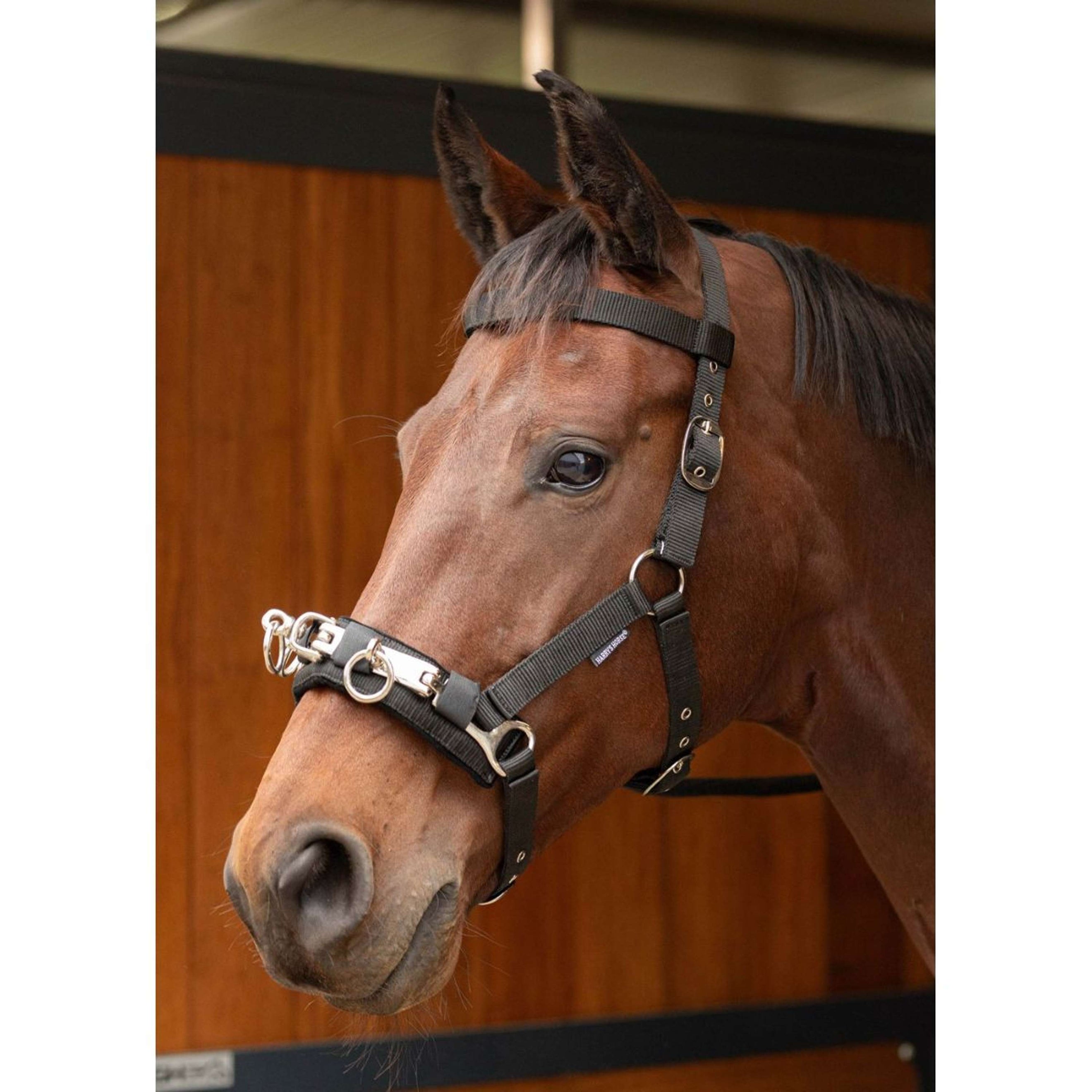 Harry's Horse Kappzaum Schwarz Harry's Horse Kappzaum Schwarz