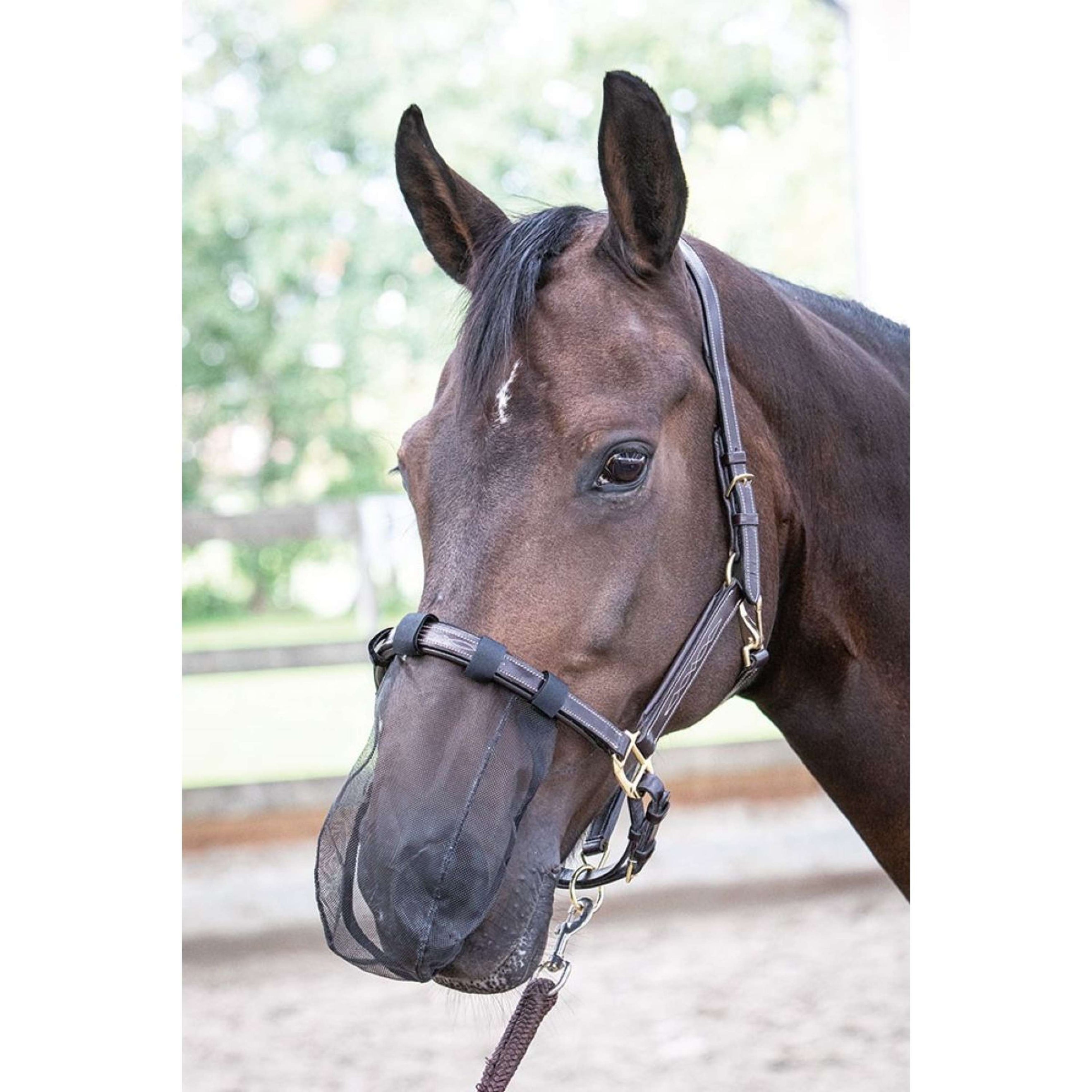 Harry's Horse Nasenschutz Schwarz Harry's Horse Nasenschutz Schwarz