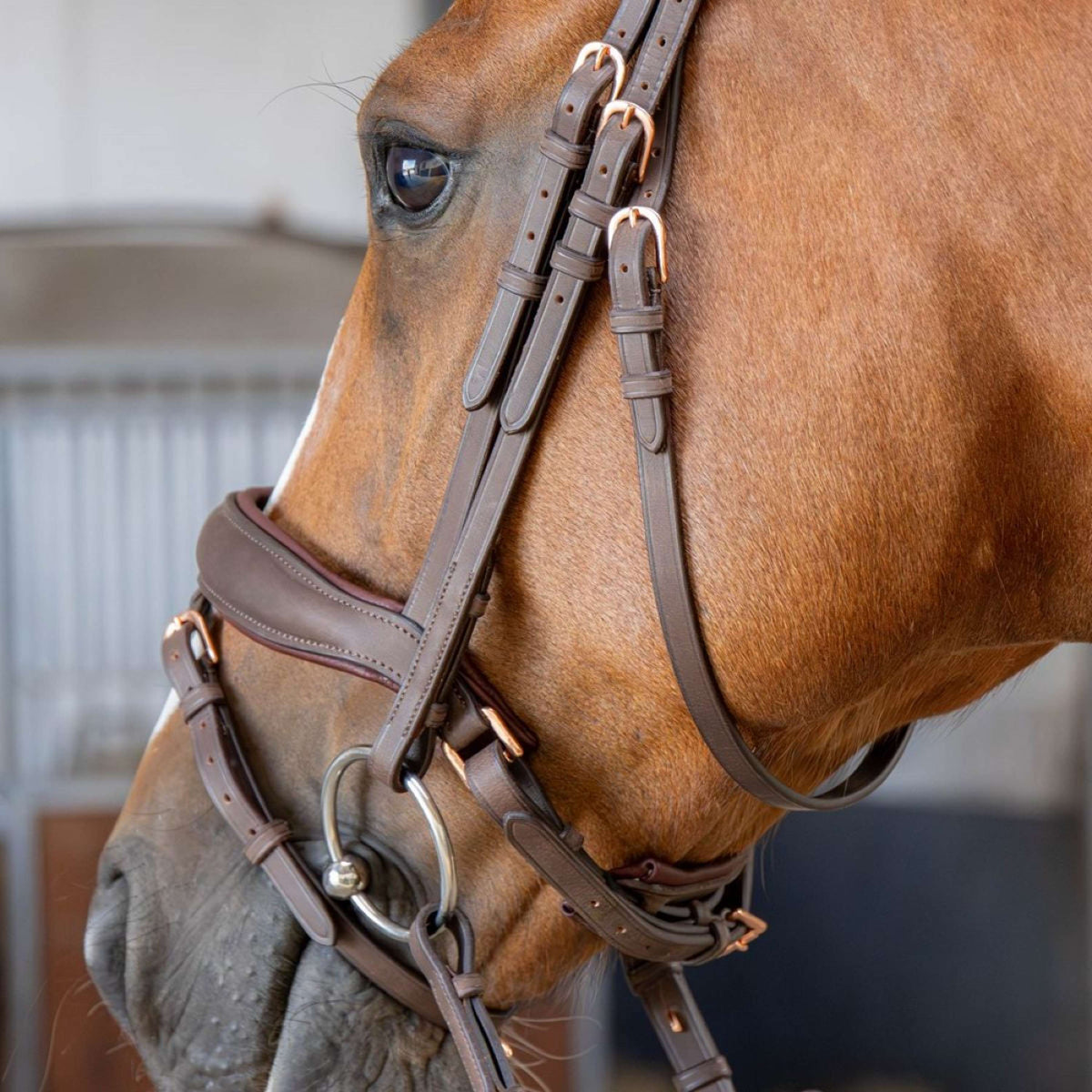 Harry's Horse Zaum Bombastic Crystals Braun