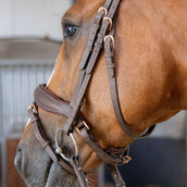 Harry's Horse Zaum Bombastic Crystals Braun