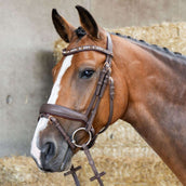 Harry's Horse Zaum Bombastic Crystals Braun