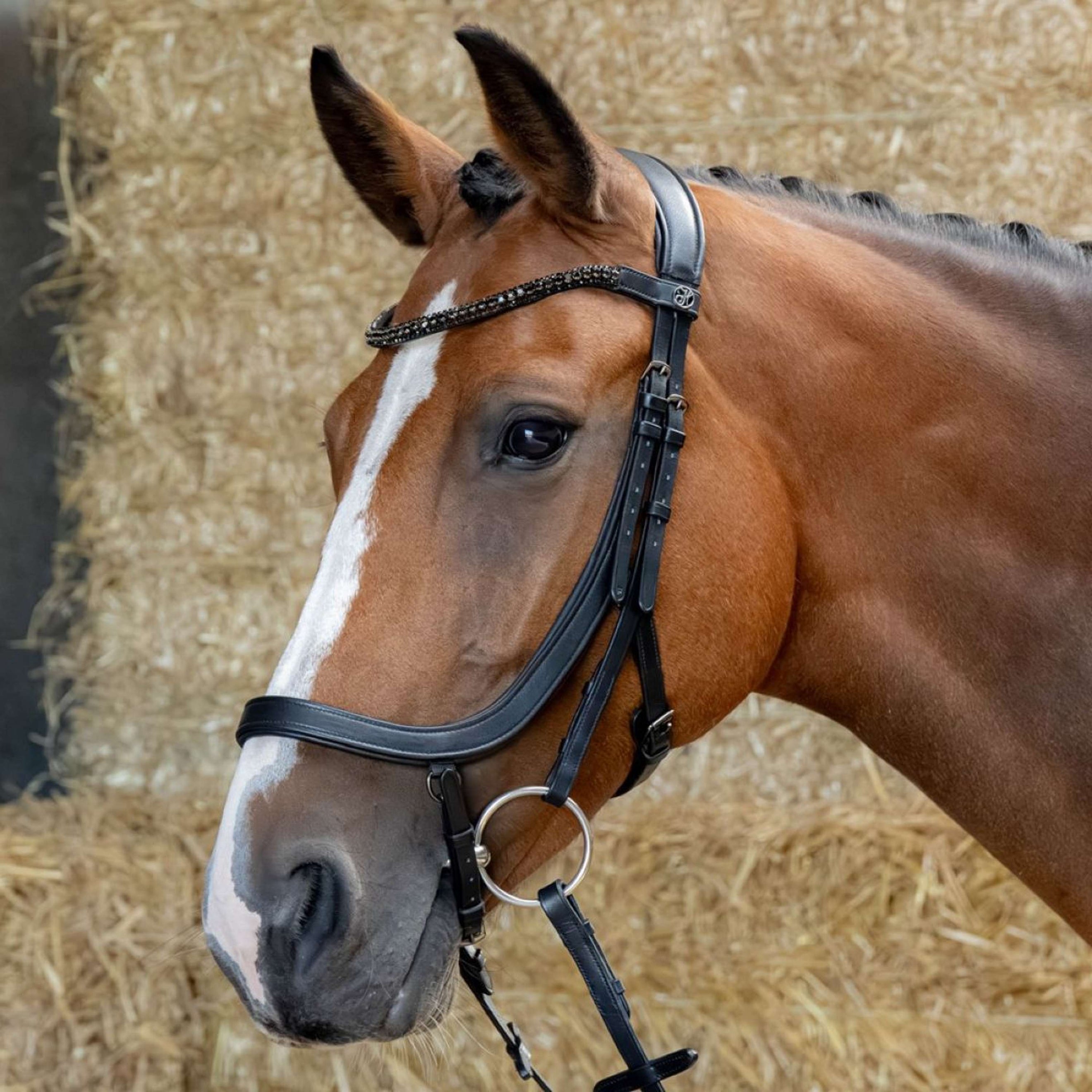 Harry's Horse Zaum Anatomic Black Crystal Schwarz