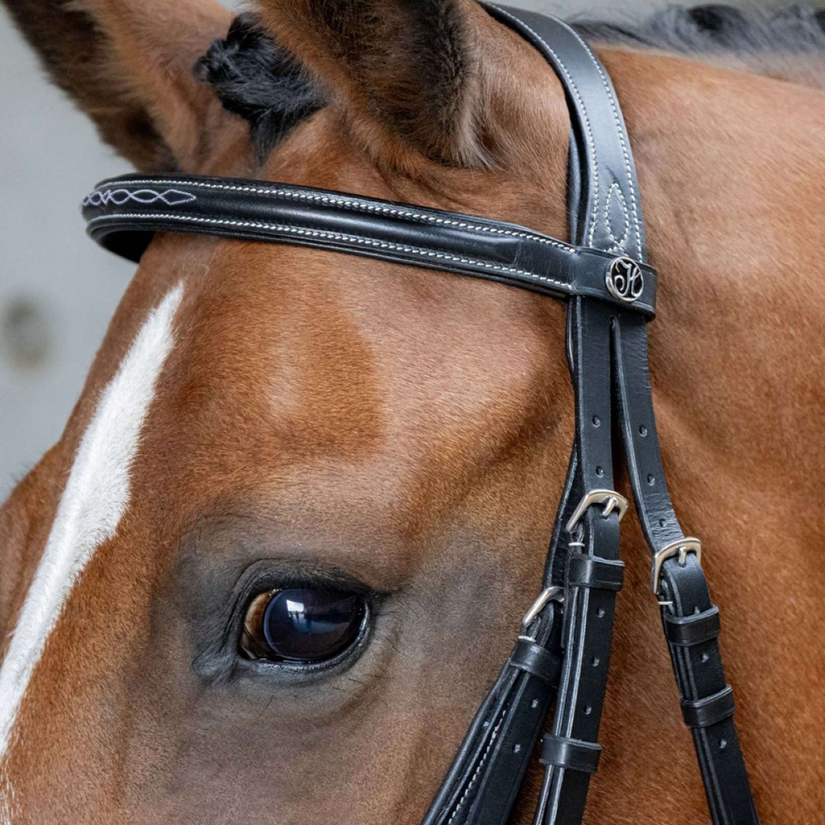 Harry's Horse Mexikanische Trense Anatomic Schwarz Harry's Horse Mexikanische Trense Anatomic Schwarz