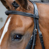 Harry's Horse Mexikanische Trense Anatomic Schwarz