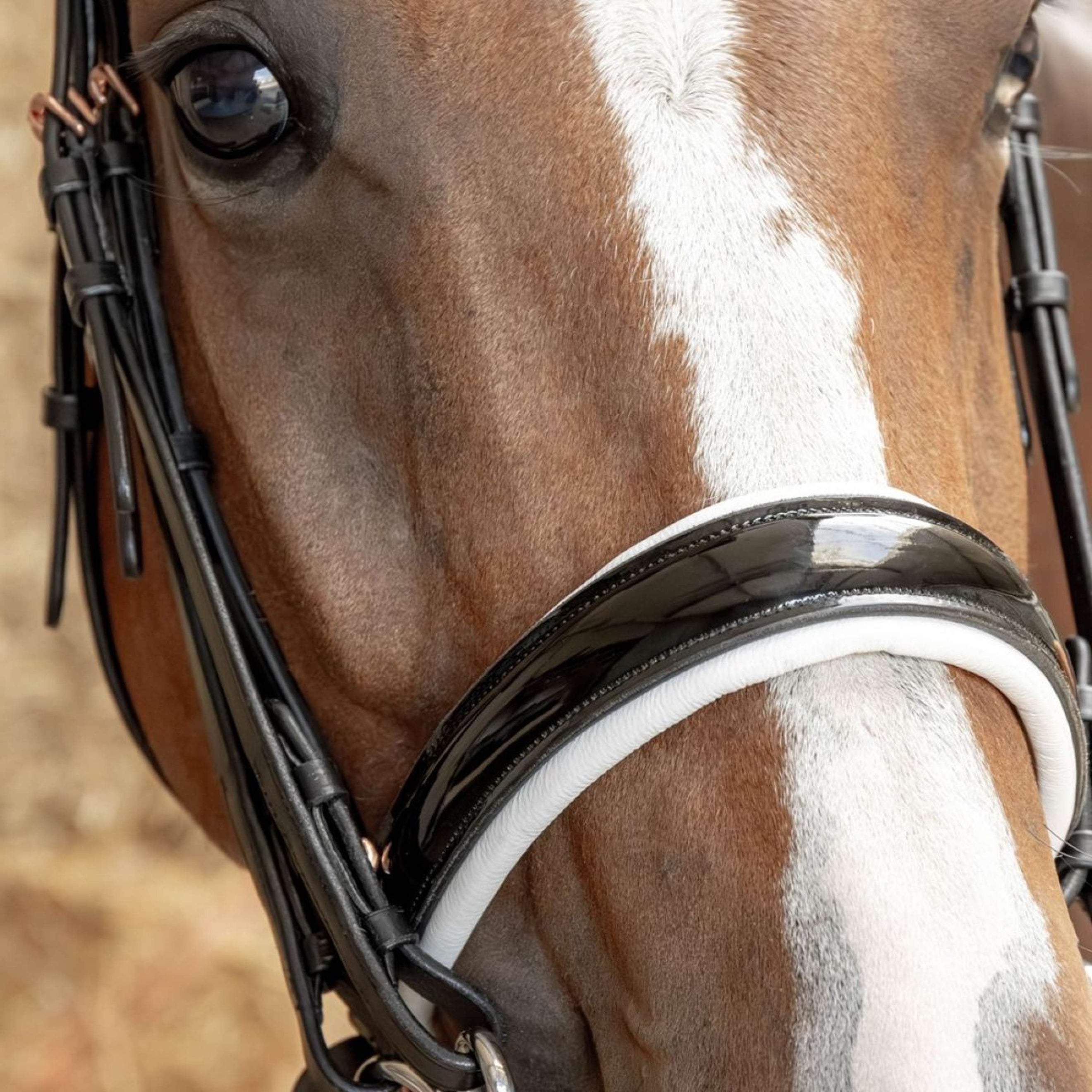 Harry's Horse Kandarenzaum Soft Rosegold Schwarz Harry's Horse Kandarenzaum Soft Rosegold Schwarz