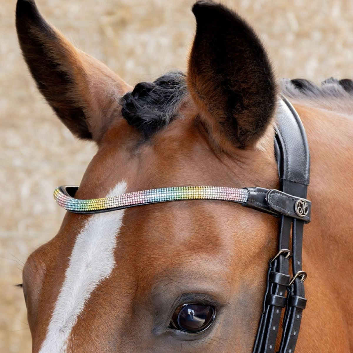 Harry's Horse Stirnriemen Rainbow Regenbogen