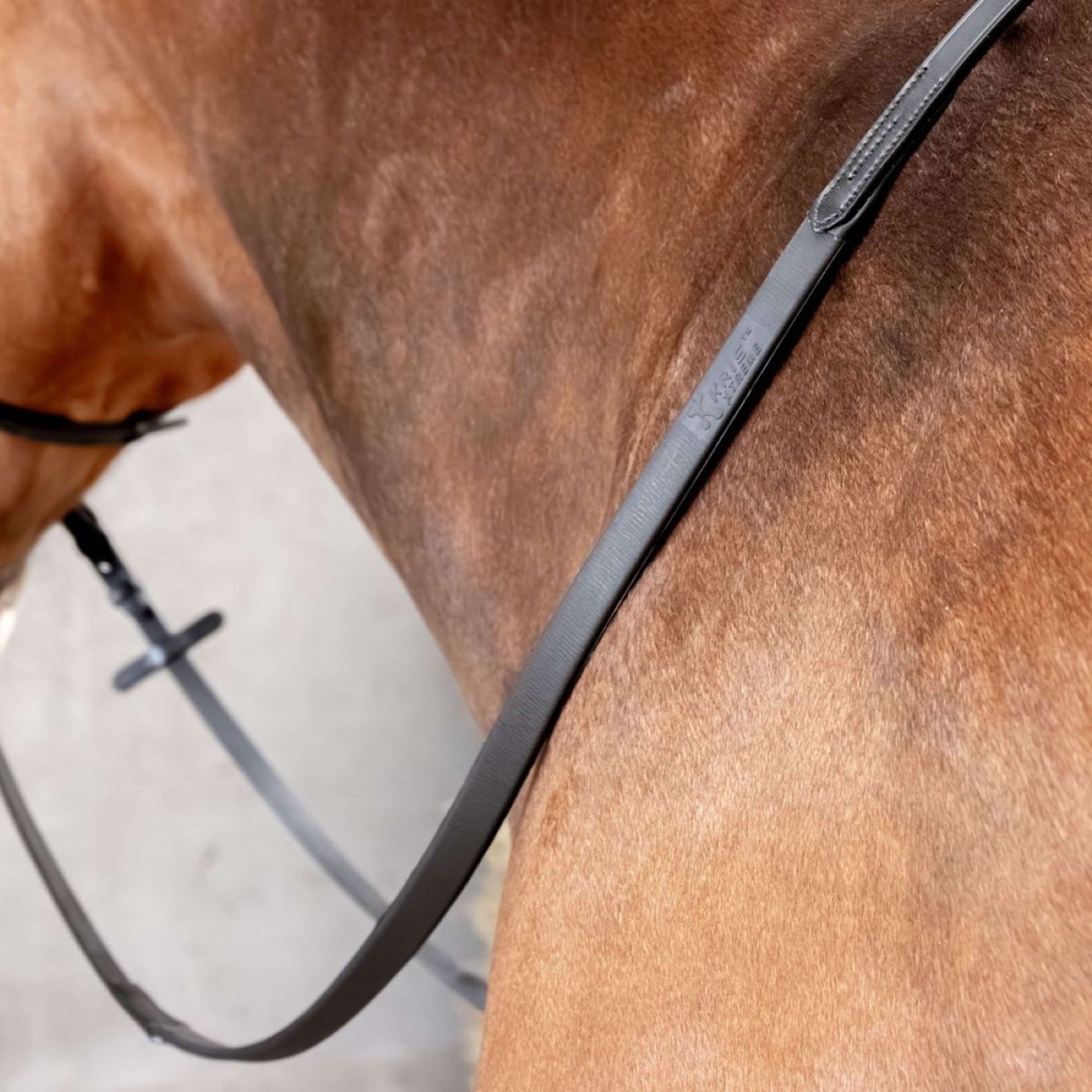 Harry's Horse Zügel Kris Xtreme Schwarz