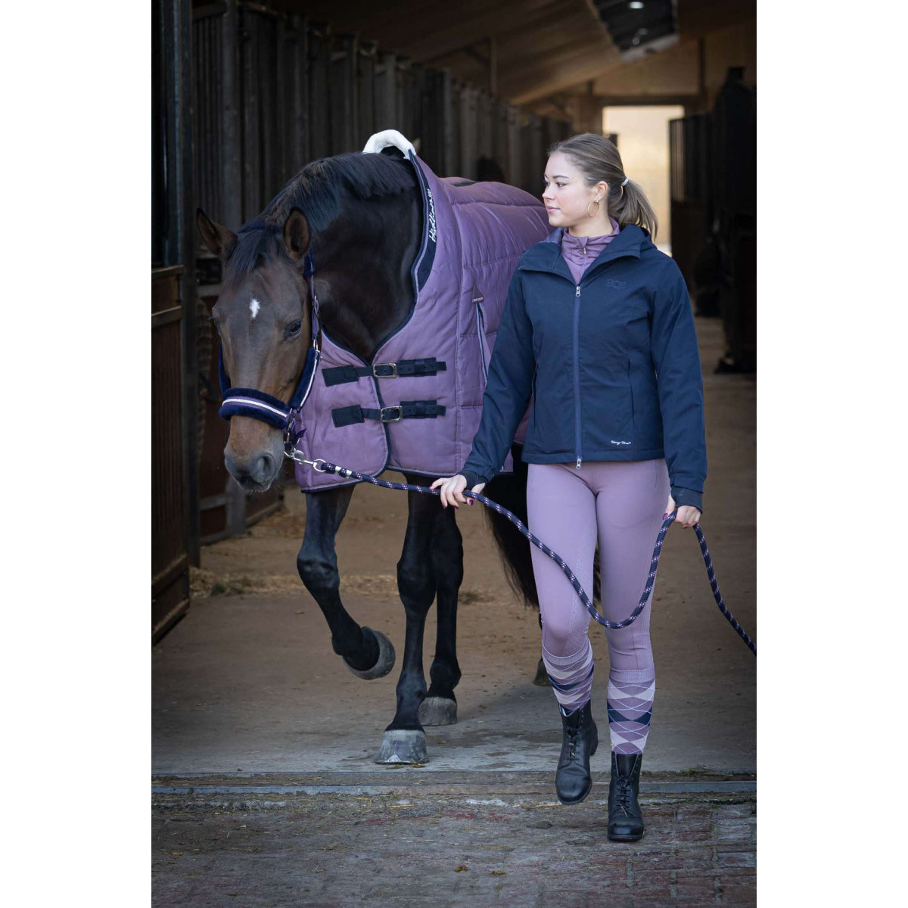 Harry's Horse Stalldecke Highliner AW26 300g Flint