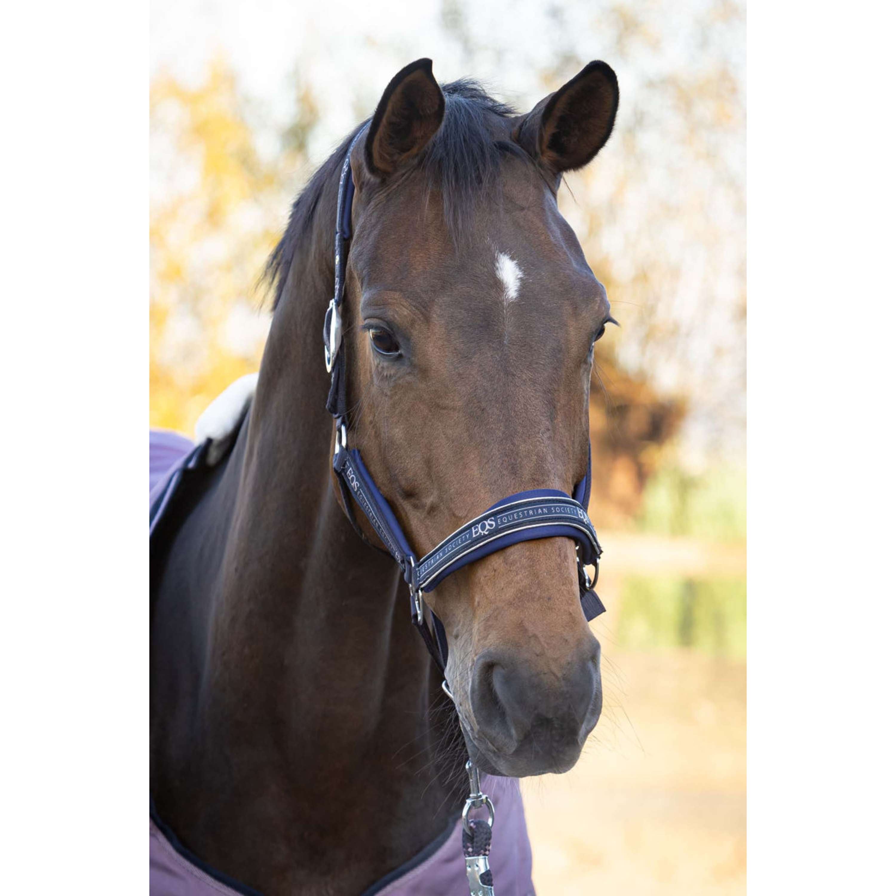 Harry's Horse Halfterset EQS Dark Navy