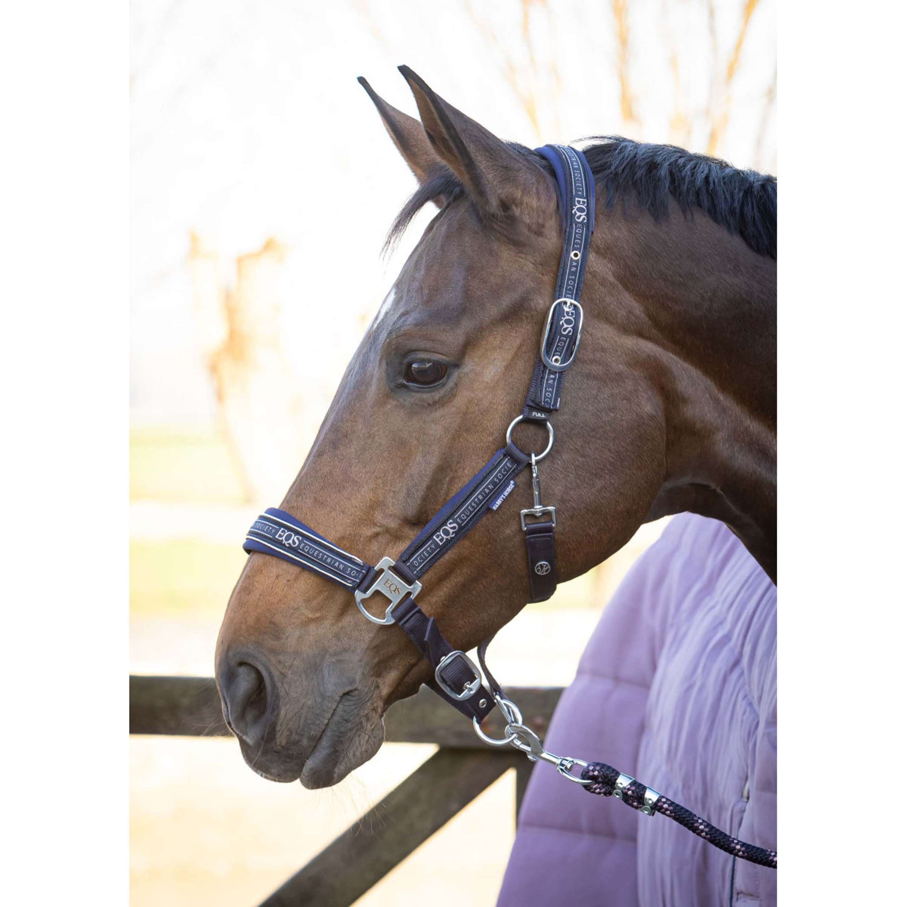 Harry's Horse Halfterset EQS Dark Navy