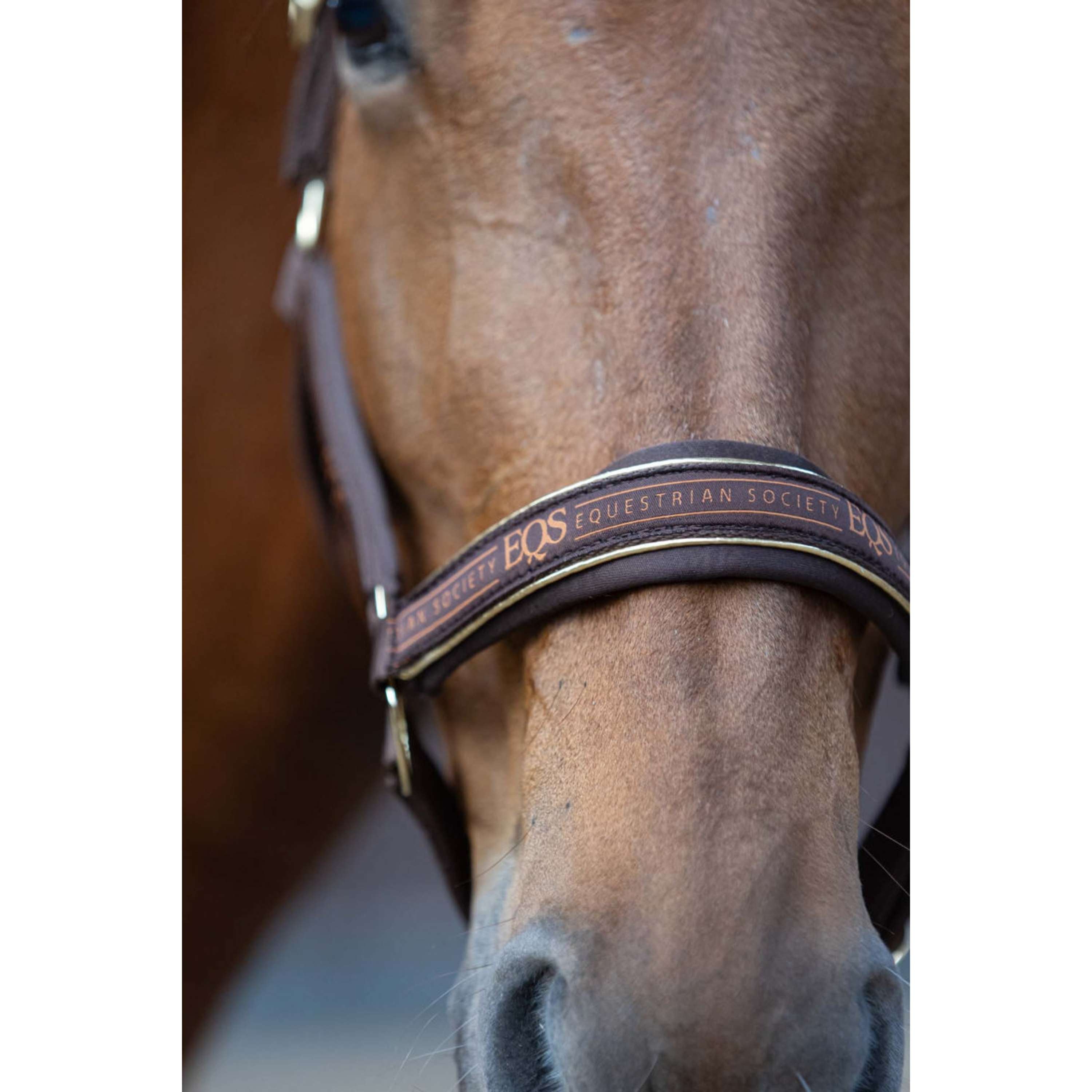 Harry's Horse Halfterset EQS Bracken