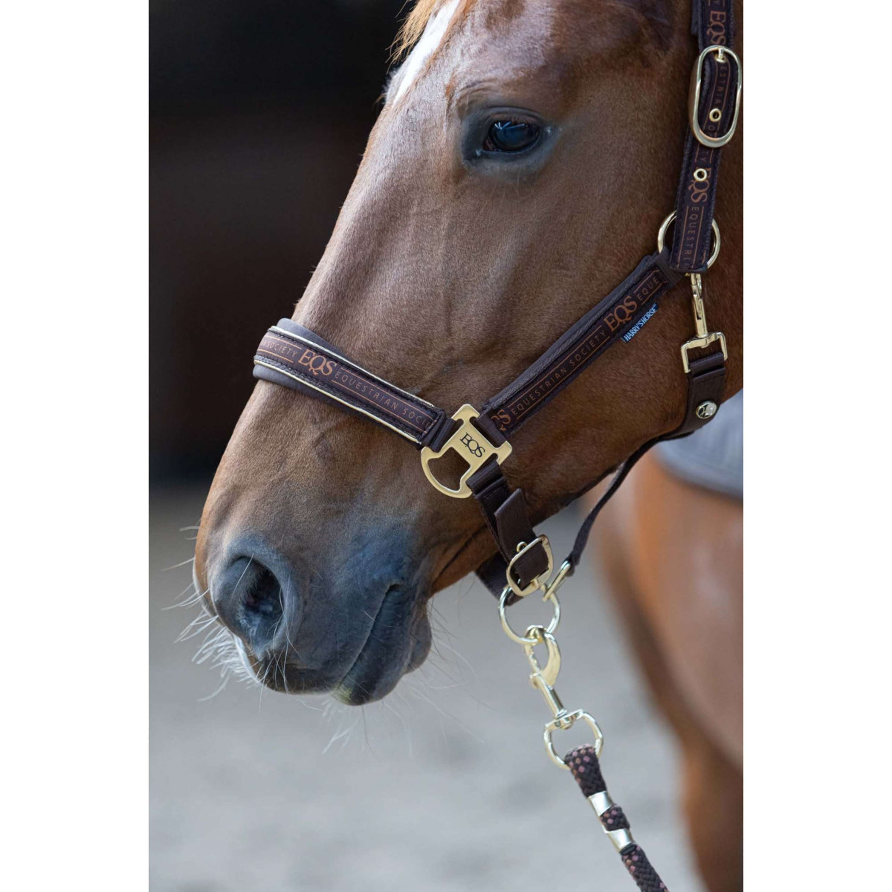 Harry's Horse Halfterset EQS Bracken