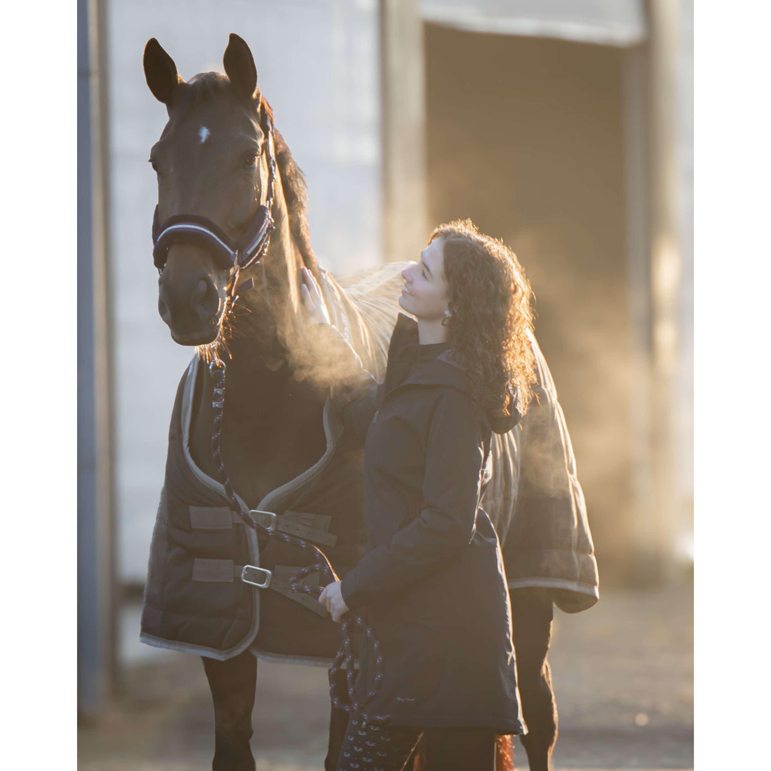 Harry's Horse Stalldecke Highliner AW26 200g Black-Sand