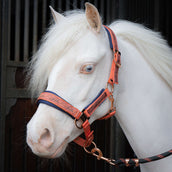 Harry's Horse Halfterset LouLou Crabapple