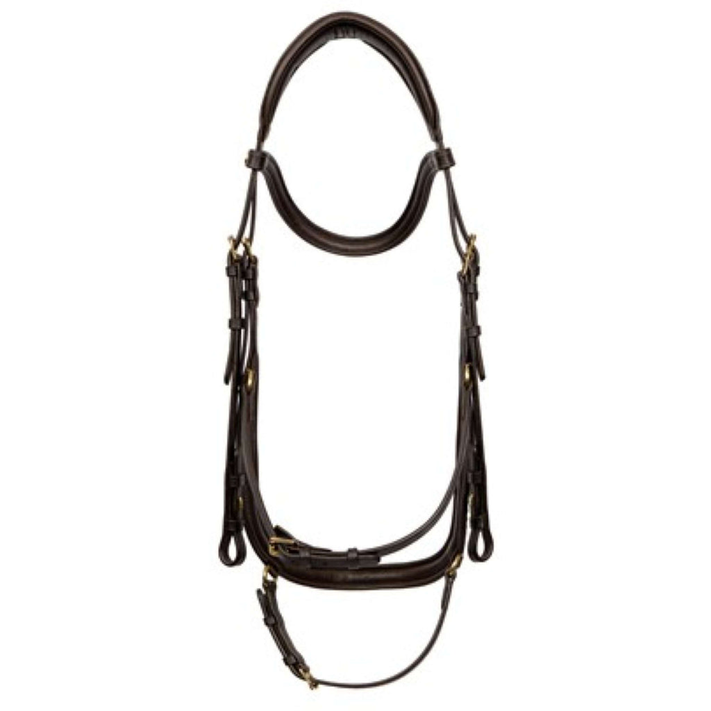 Harry's Horse Zaum Anatomic Gold Braun