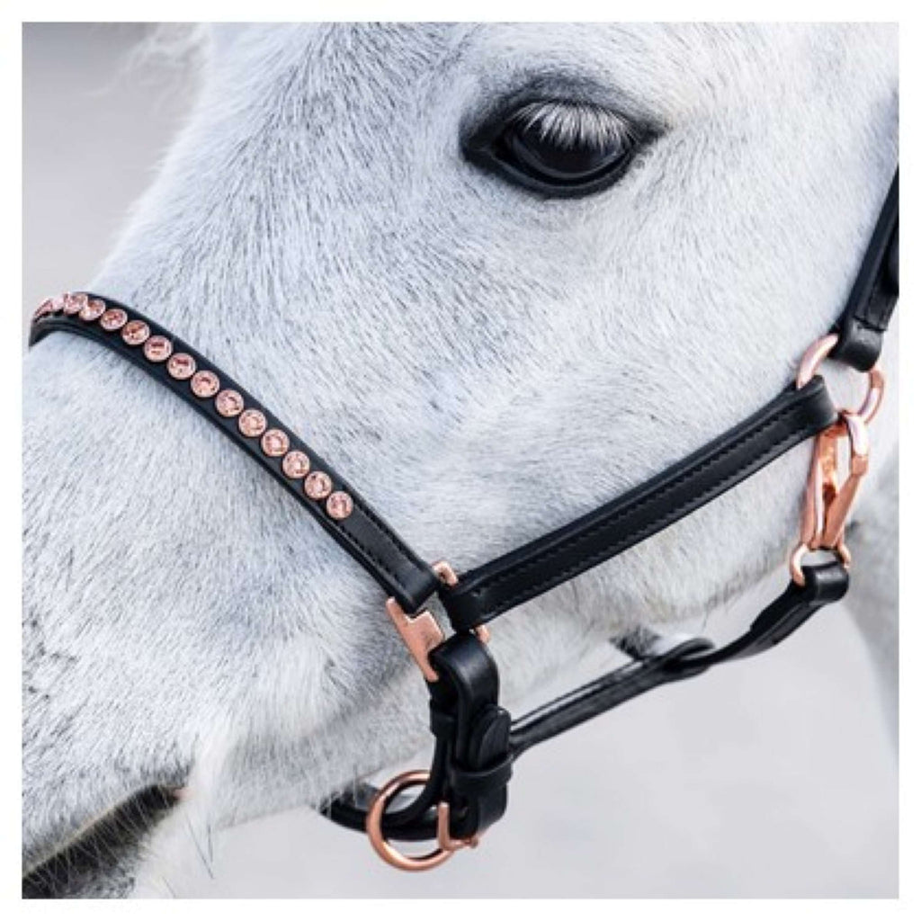 Harry's Horse Halfter Crystal Schwarz/Roségold