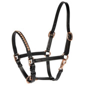 Harry's Horse Halfter Crystal Pony/Fohlen Schwarz/Roségold