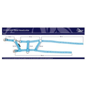 Harry's Horse Fohlenhalfter Navy
