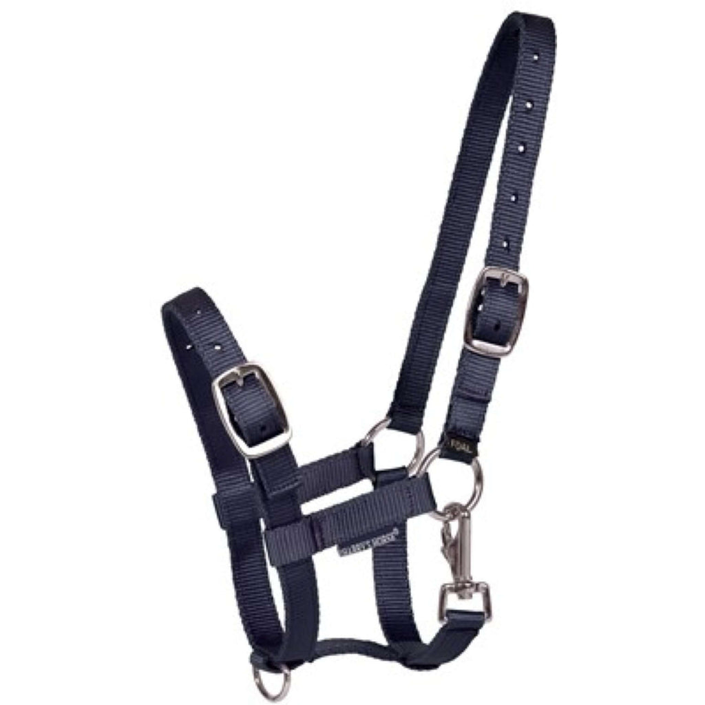 Harry's Horse Fohlenhalfter Navy