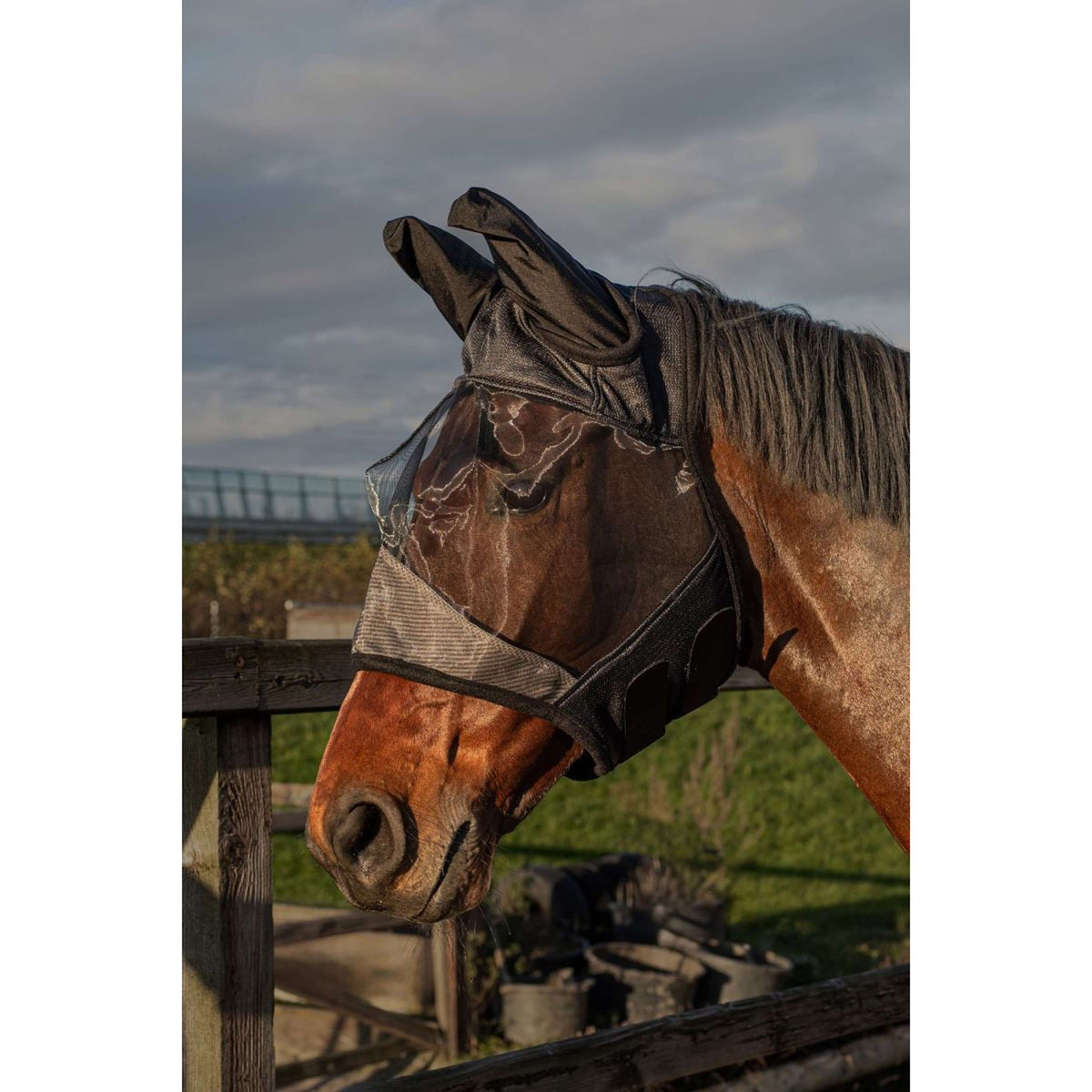 Harry's Horse Fliegenmaske Flyshield