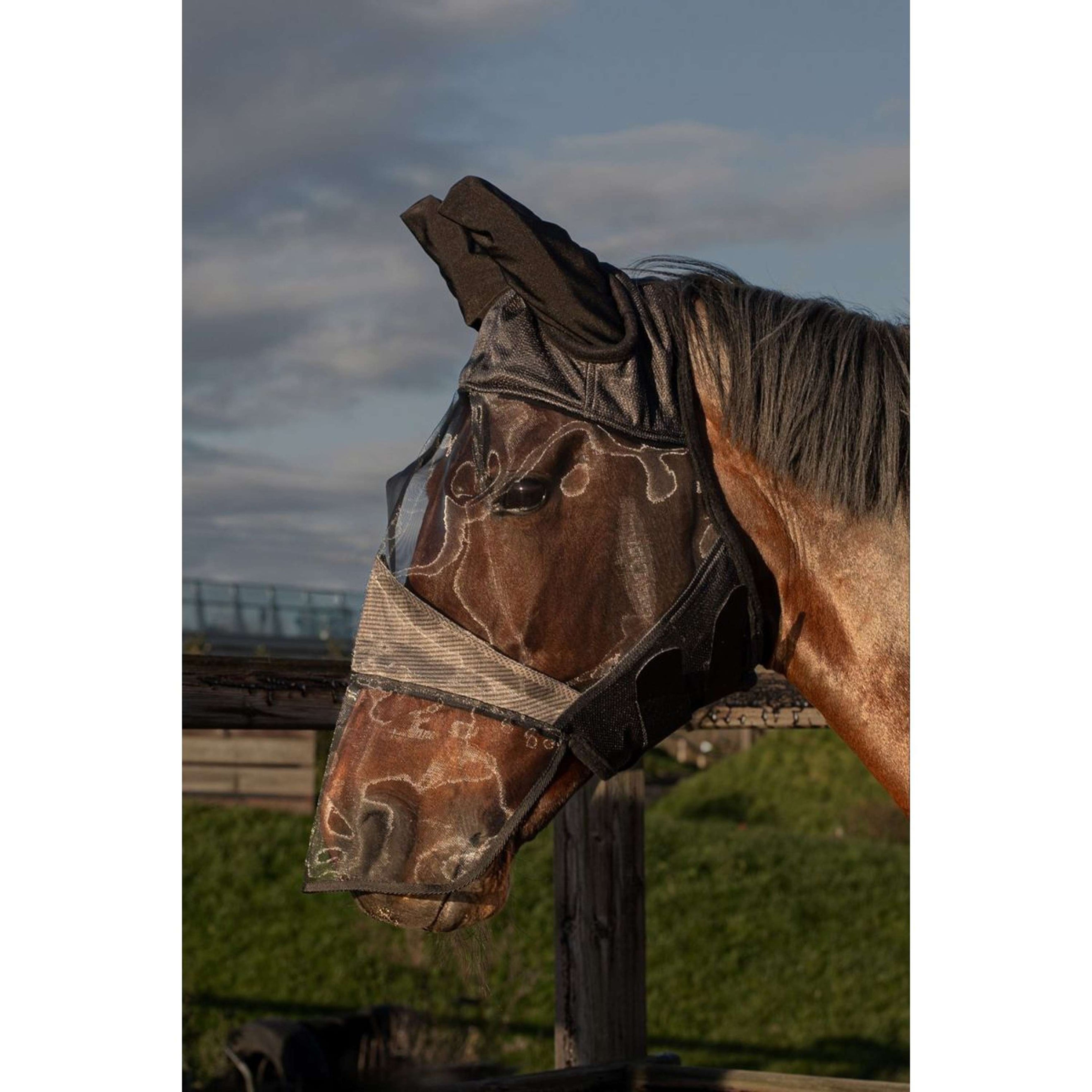 Harry's Horse Fliegenmaske Flyshield mit Nasenstück Harry's Horse Fliegenmaske Flyshield mit Nasenstück