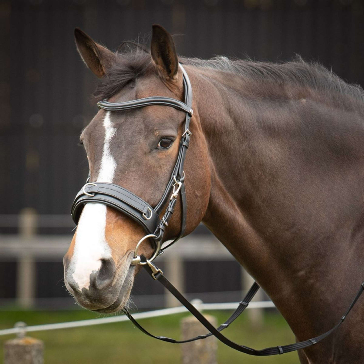 Harry's Horse Kapzaum Comfort Leder Schwarz