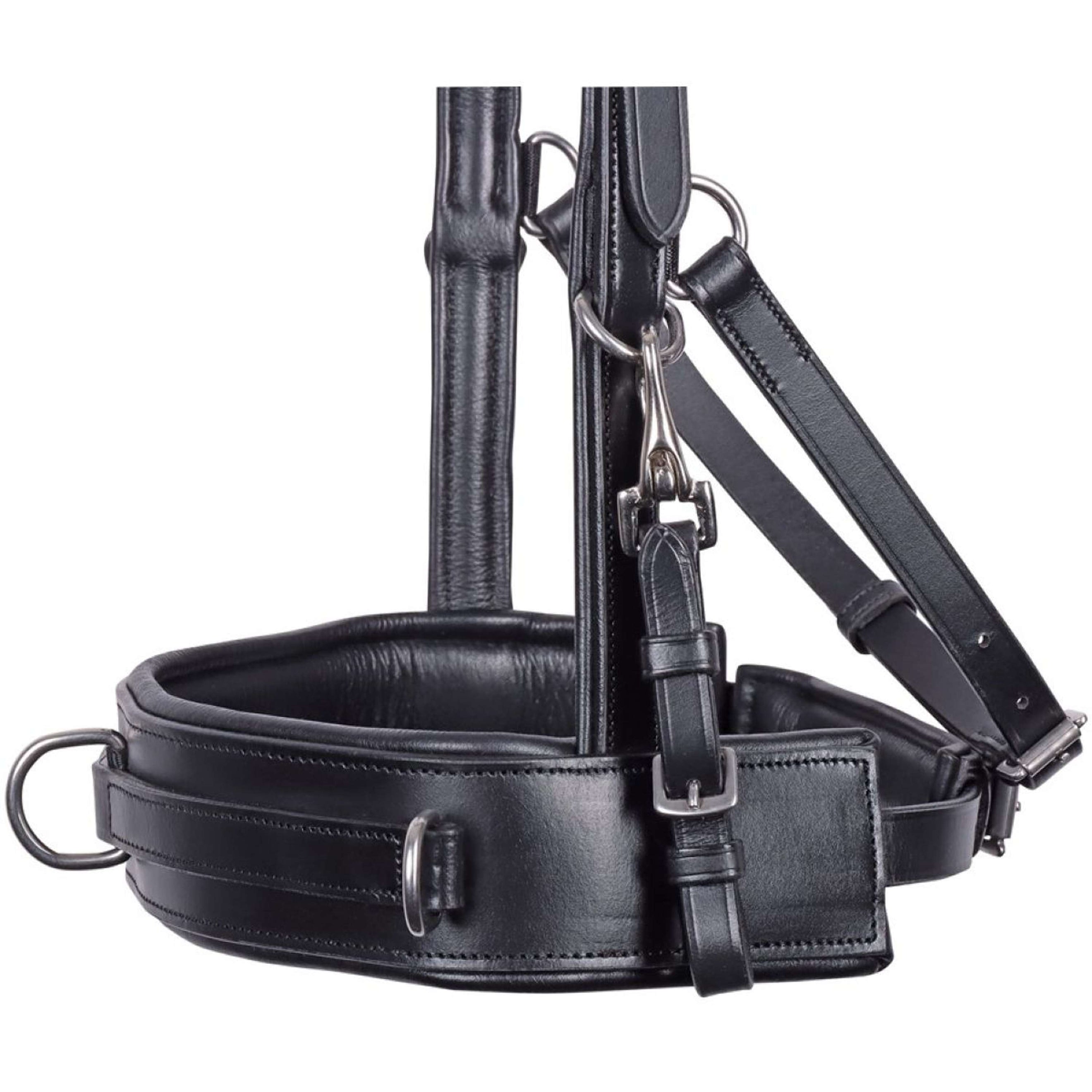 Harry's Horse Kapzaum Comfort Leder Schwarz Harry's Horse Kapzaum Comfort Leder Schwarz
