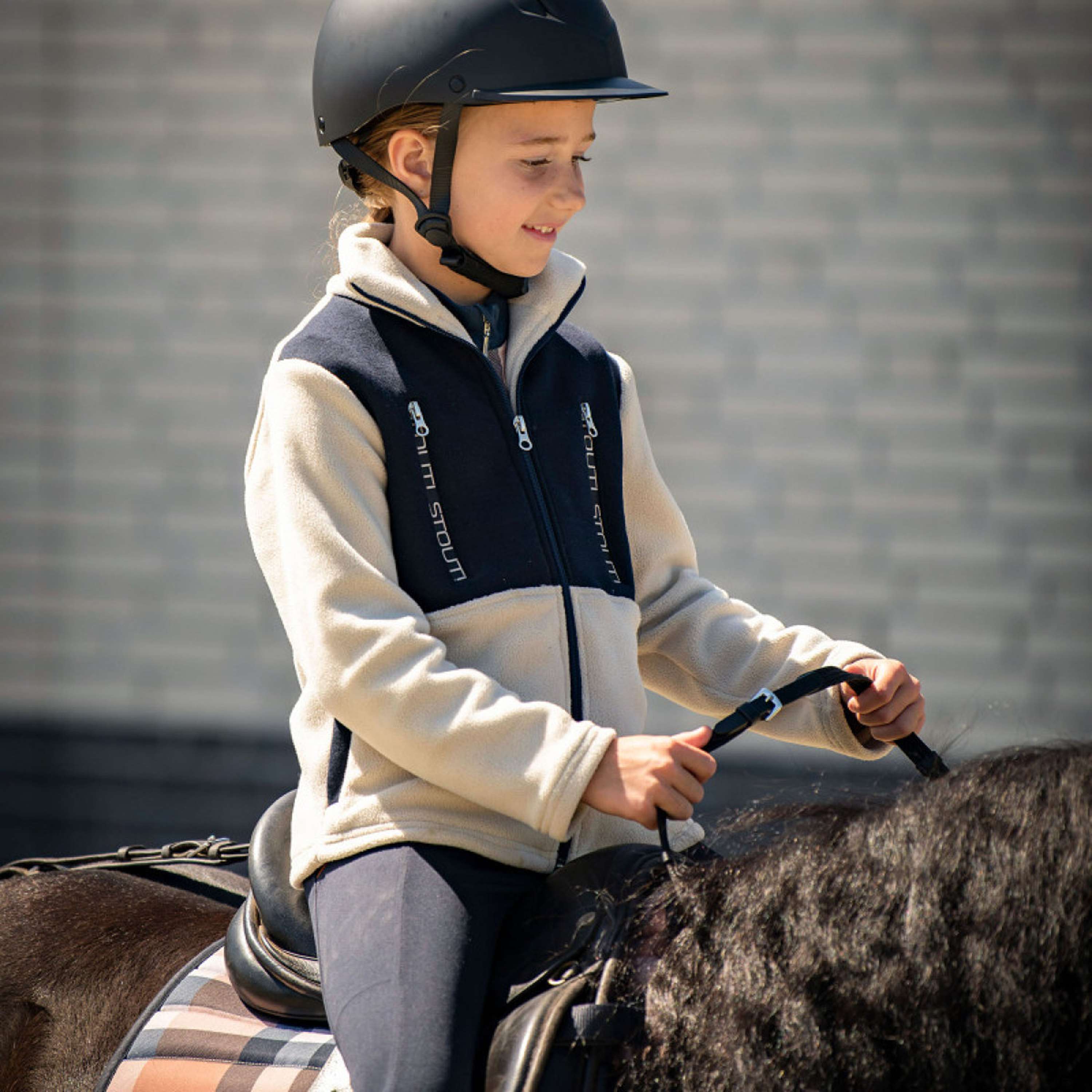 Harry's Horse Sweatjacke STOUT! Maverick Smoke Gray