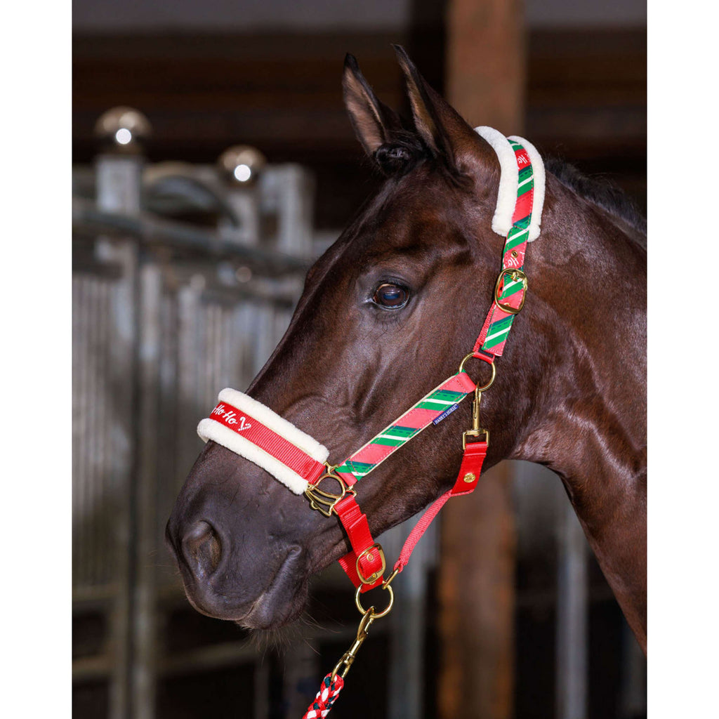 Harry's Horse Halfterset und Ohrenhaube Christmas '26 Rot