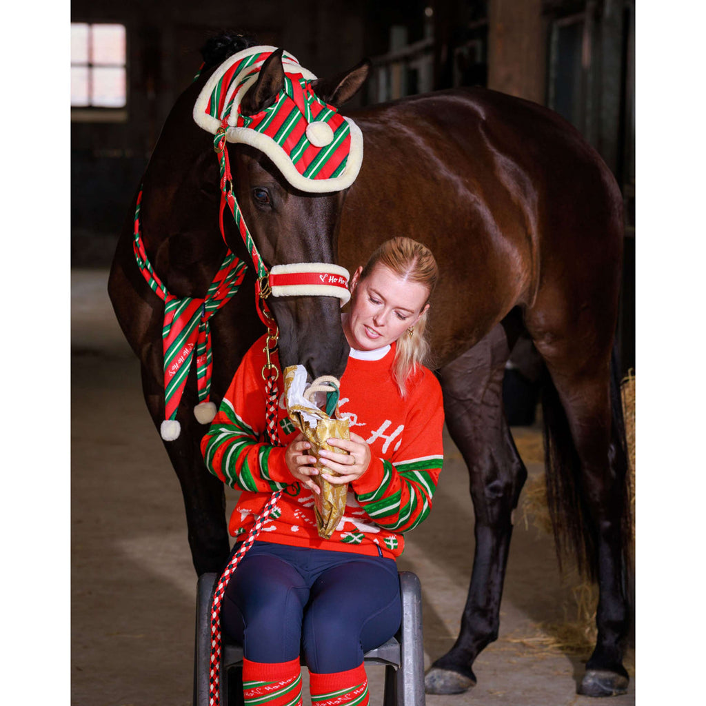 Harry's Horse Halfterset und Ohrenhaube Christmas '26 Rot