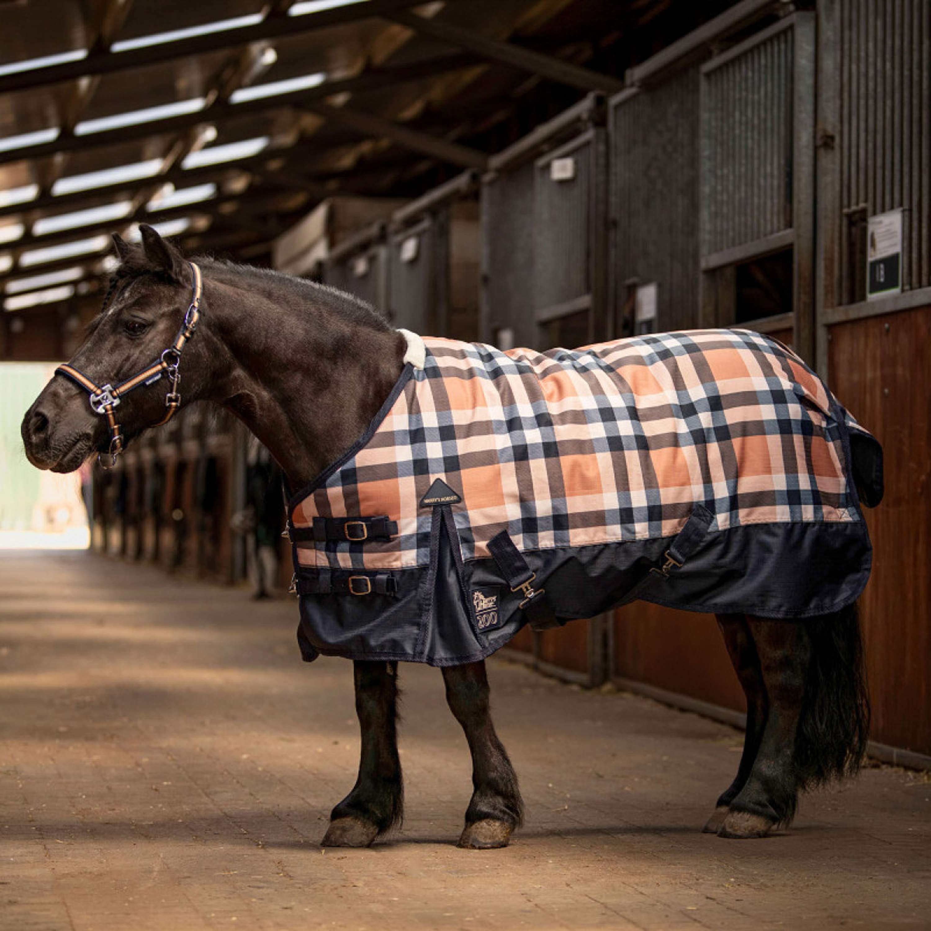 Harry's Horse Regendecke STOUT! Maverick 200g Total Eclipse