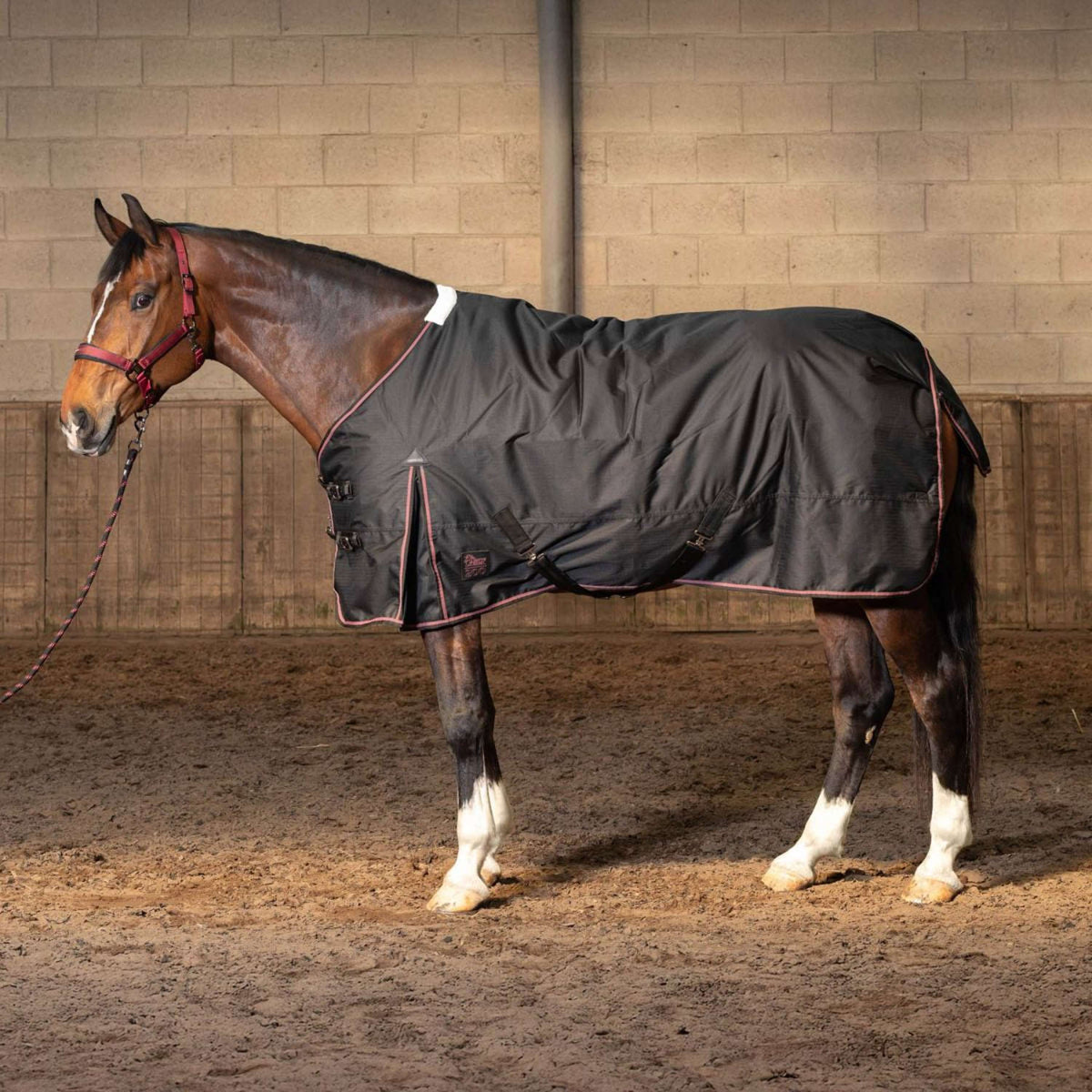 Harry's Horse Winterdecke Thor 200g WI25 Jet Black