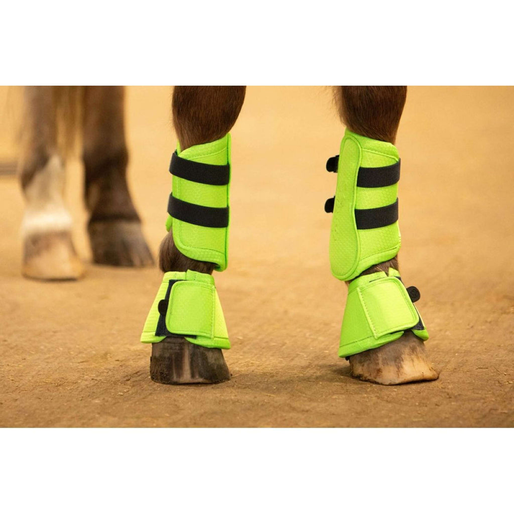 Harry's Horse Hufglocken STOUT! Lime Limette