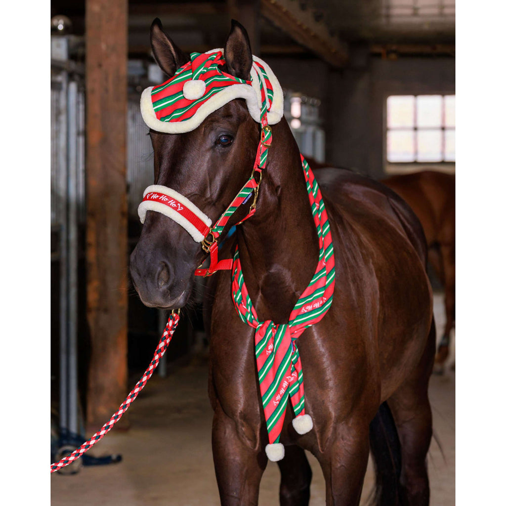 Harry's Horse Schal Christmas '26 Rot