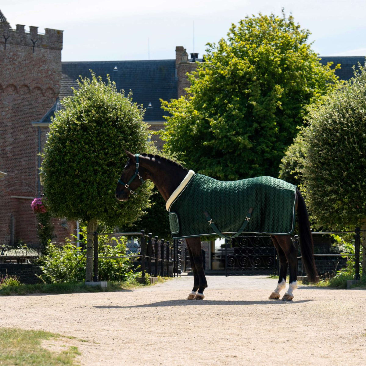 HB Ruitersport Showdecke Special Peach Forest Green