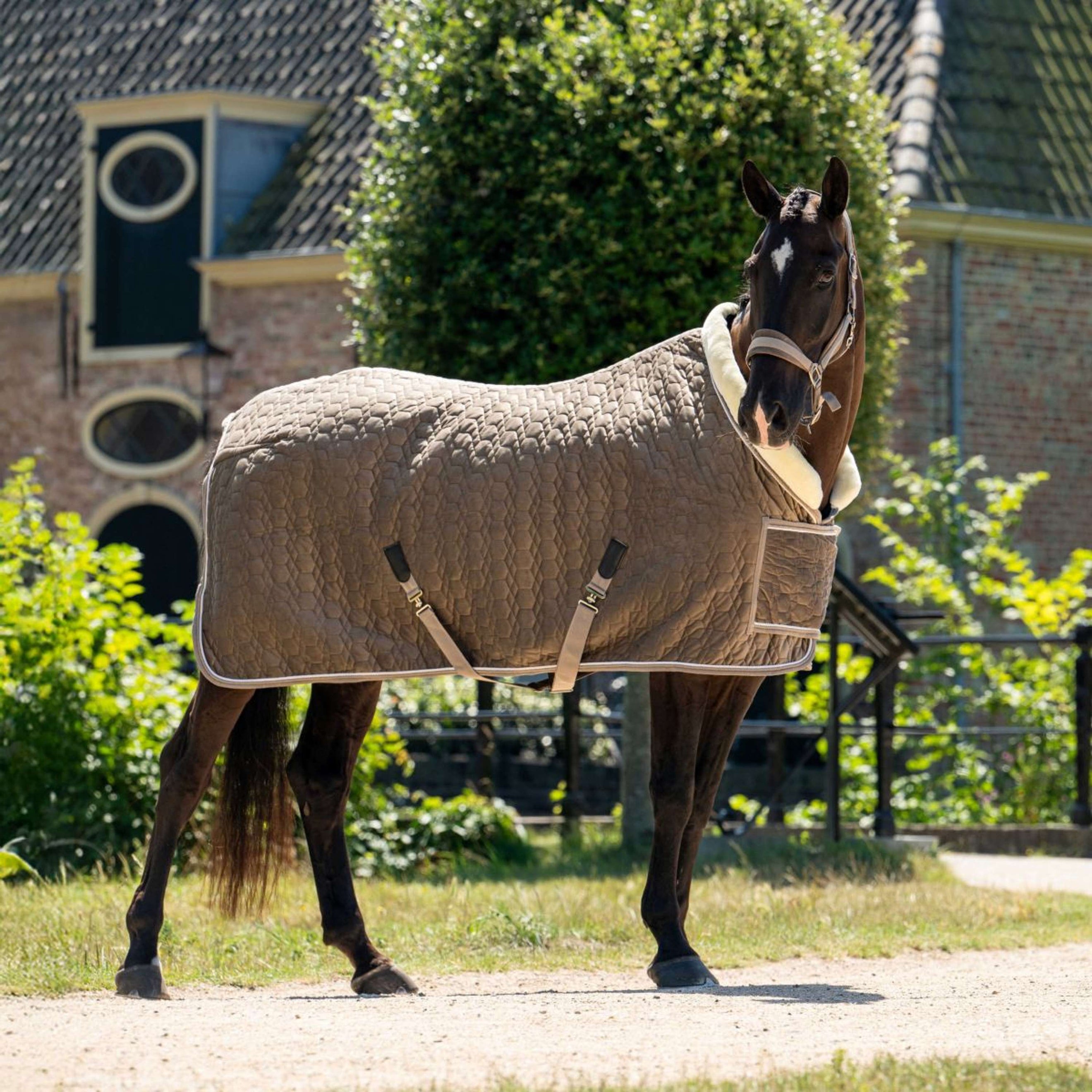 HB Ruitersport Showdecke Special Peach Taupe