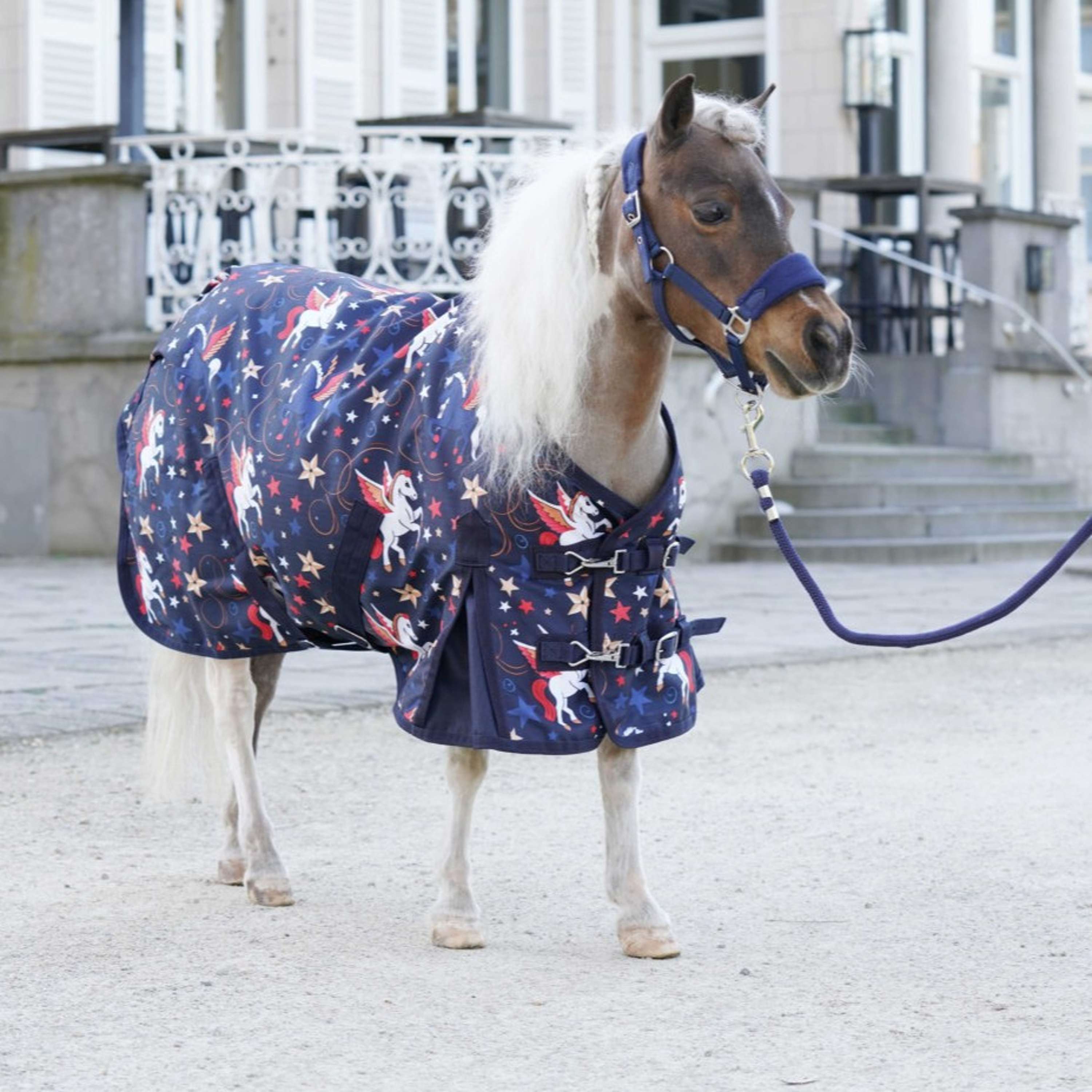 HB Outdoordecke Little Sizes Navy Flying Horse